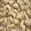 Raw and Processed Grade 1 Thailand Raw Cashew Nuts in Shell