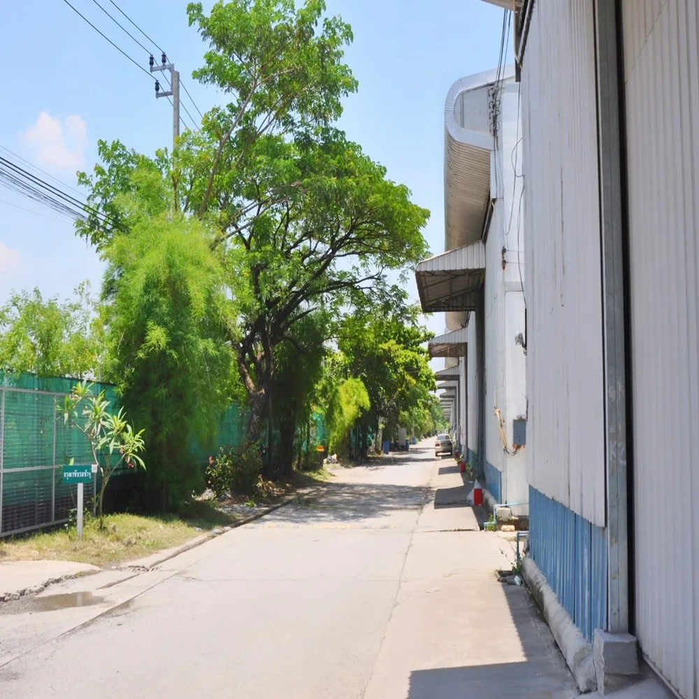 
Hot Low Cost Renting Land Structure Steel Warehouse Suvarnabhumi Zone K In Thailand 