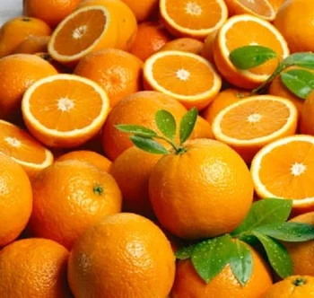 Fresh Oranges Lemon Lime New Harvest