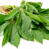 Frozen leaves Tapioca