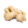 Supply Bulk Sale Ginger Essential Oil Toothpaste