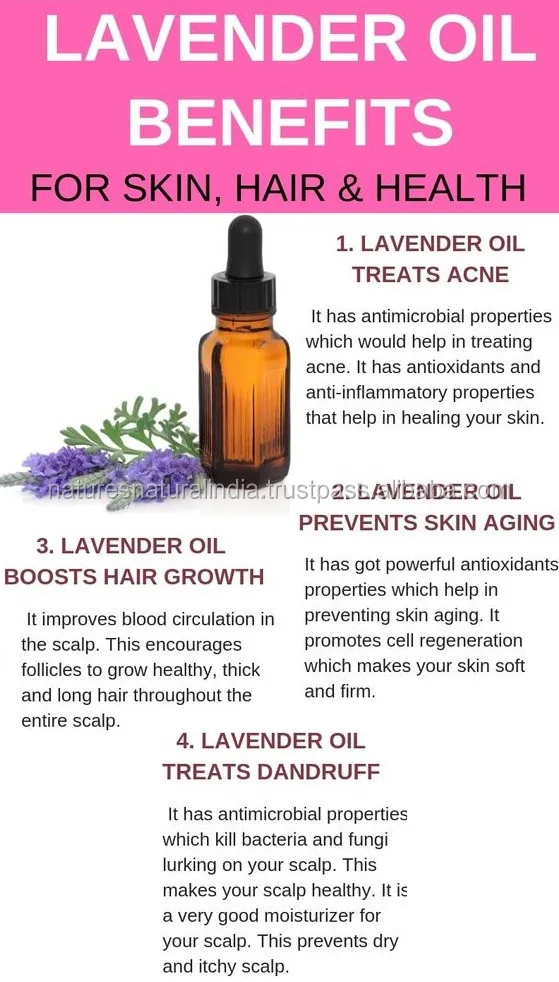 Best Price Lavender Oil Suppliers Or Exporters Buy Lavender Oil From India  Largest Manufacturers And Suppliers From India - Buy Best Price Lavender Oil  Suppliers Or Exporters Lavender Oil Suppliers Lavcender Oil