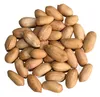 Europe Groundnut with Shell/ Europe peanut with Shell/Raw shelled peanuts