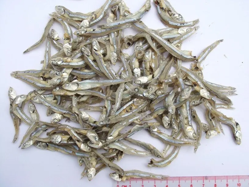 anchovy dry.jpg