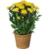 Rattan indoor planter from Vietnam