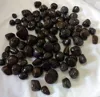 Tumbled Stones : Ruby Star Tumbled Stones - Crystal Export