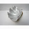 Silver painted Scallop Shell, new arrival of natural souvenir now on sale