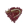 Latest Desirable Canned Export Light Red Kidney Beans Import