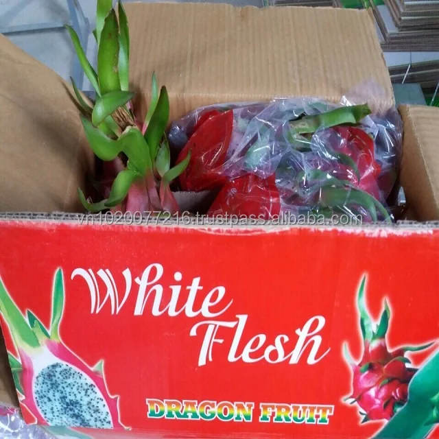 f3232767244ecb10925f.jpg