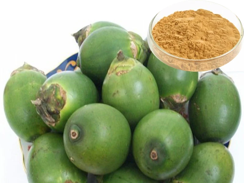 high quality areca nut extract / areca catechu extract arecoline