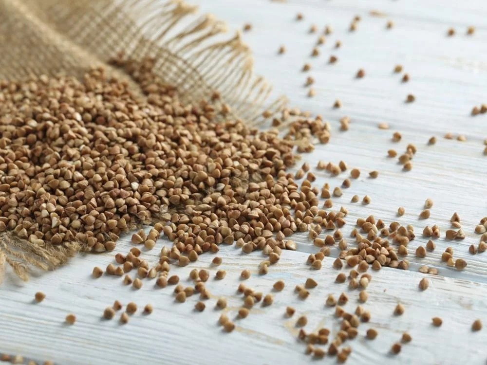 
Wholesale buckwheat 