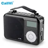 CallVi V-15 FM Radio Mini Mp3 Speaker System Music Player with headset Microphone