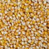 /product-detail/yellow-powder-corn-gluten-meal-pig-feed-yellow-corn-maize-for-animal-feed-50037410898.html