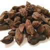 Black Cardamom / Cardamon Pods Dried Whole Grade A Premium