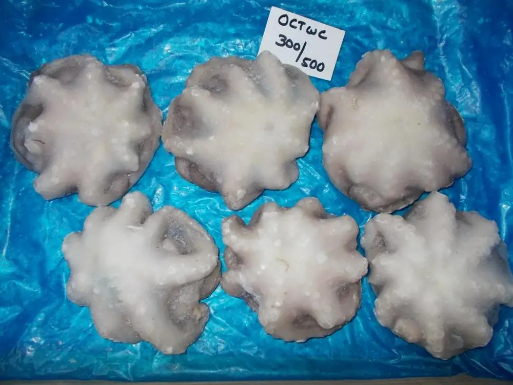 
Frozen Octopus Whole Round/Whole cleaned 