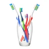 Standard Export Quality Toothbrush with Soft Handle