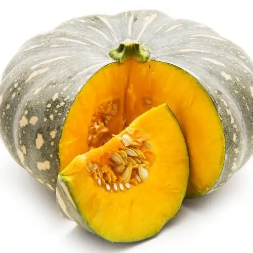 Premium fresh pumpkin, nutritious pumpkin, best sales 2019