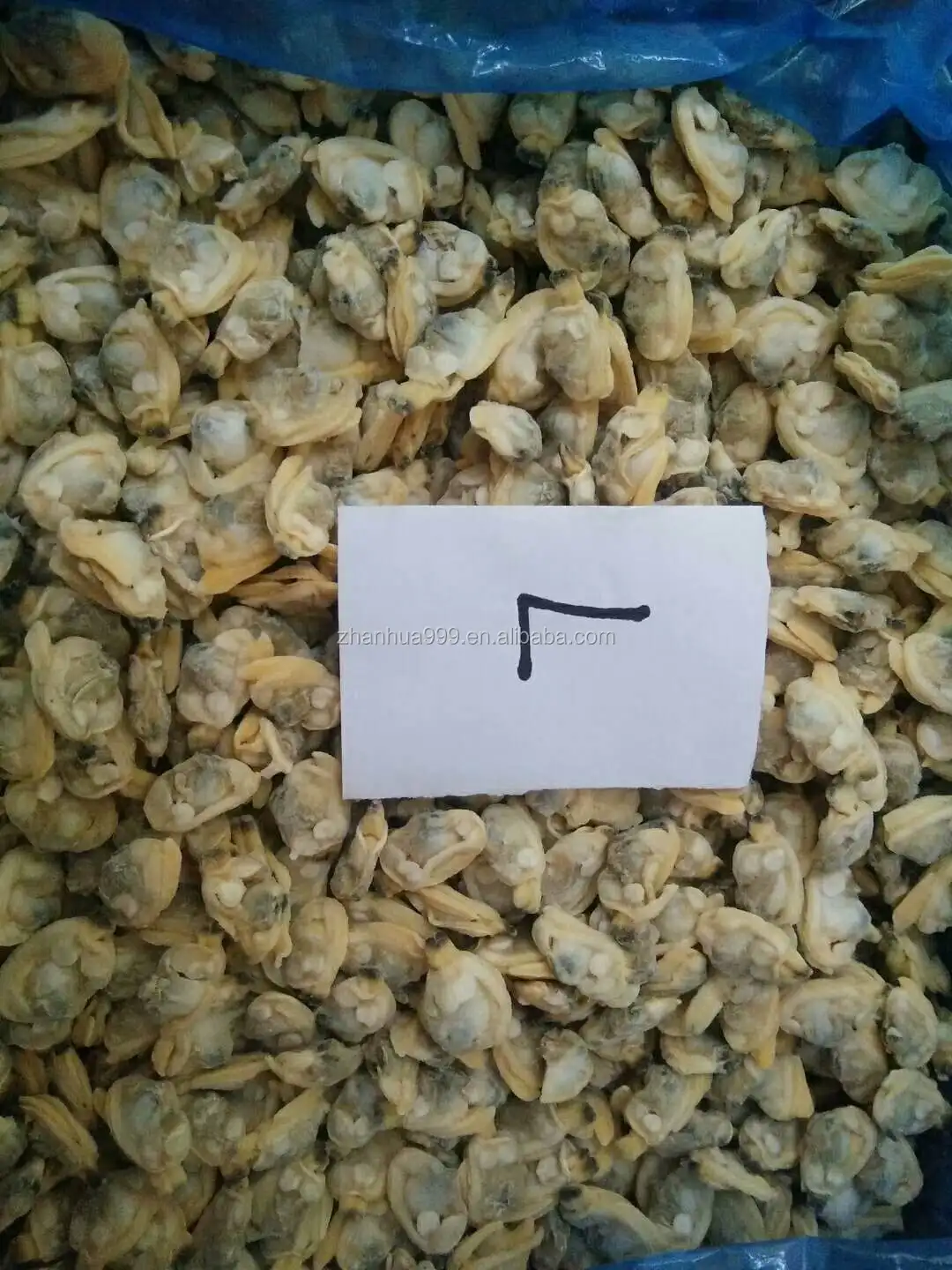 With / Without Shell Frozen Boiled Baby Clams For Market/ Restaurant