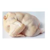 High quality Ukrainian best price fresh or frozen wings and foot meat chicken
