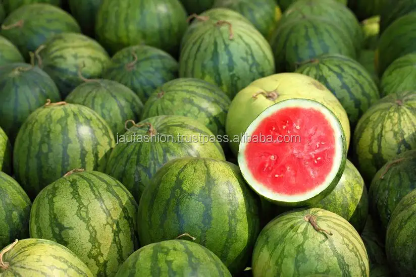 Wholesale Fresh Watermelon / Fresh Watermelon For Sale / Bulk Fresh