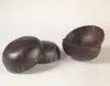coconut shell cups half cuts and oval cuts