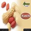 Best Blanched Peanuts Splits