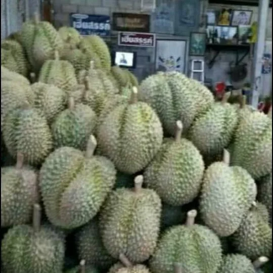 
FRESH DURIAN MONTHONG NO.1 