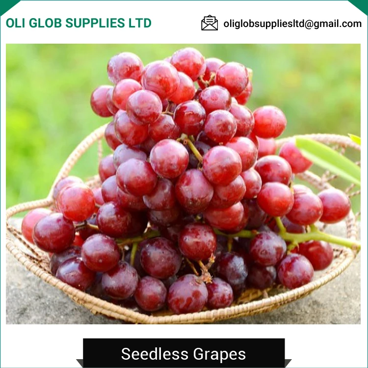 high quality fresh seedless grapes from trusted exporter
