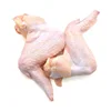 Chicken High Quality Brazil Chicken 3 Joint Wings for sale