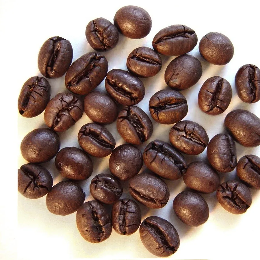 Лучшие зерна арабики. Кофе Арабика и Робуста. Кофе зерновой Арабика и Робуста. Сорт кофе Робуста. Робуста (Coffea canephora).