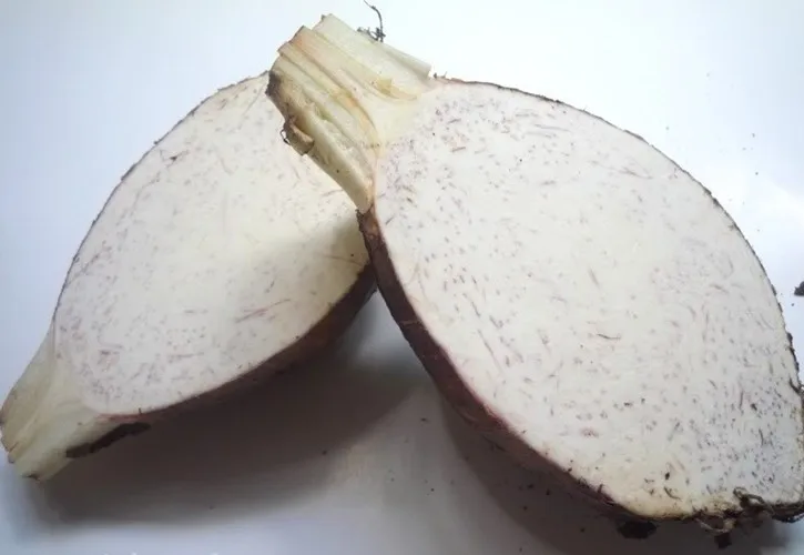 全新鲜芋头根 2019