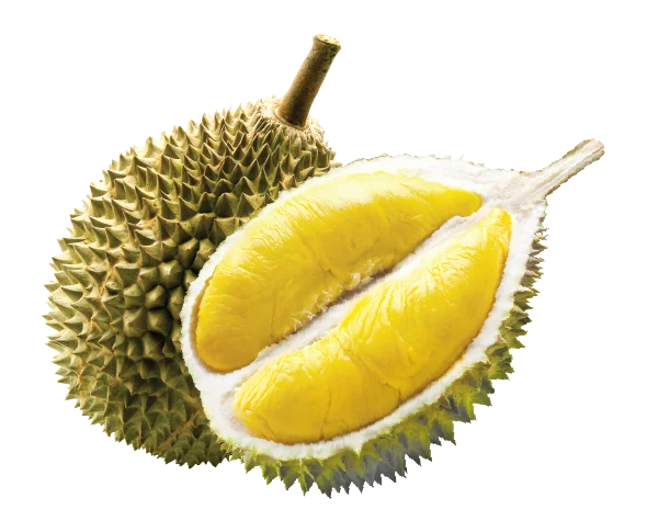 malaysia fresh fruit of musang king durian