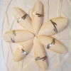 CUTTLEFISH BONE- CUTTLE FISH BONE-with metal clip (Ms. Pheebs)