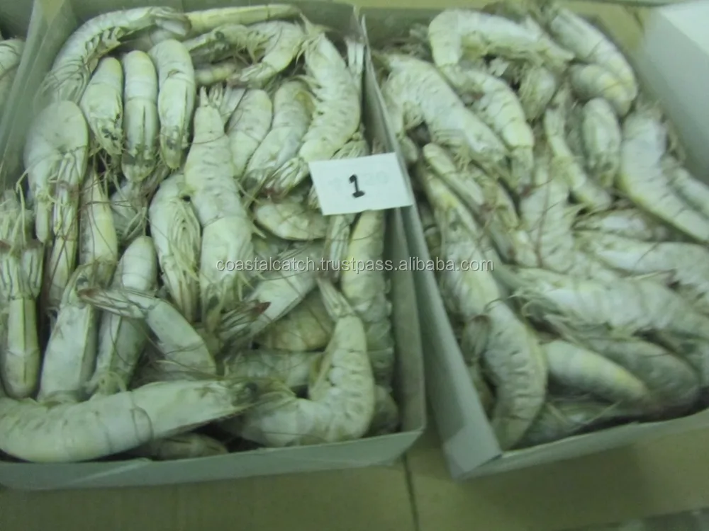 
VANNAMEI SHRIMPS HEAD ON SHELL ON FARM FRESH 