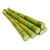Wholesales FERMENTED SUGARCANE BAGASSE PELLET/ VIETNAM AGRO WASTE