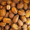 High Quality Grade A Raw Pecan Nuts / Pecan Nuts In Shell / Organic Pecan Nuts