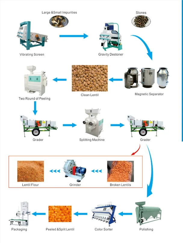 China supplier red split lentils processing machine