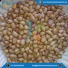 Peanut Exporter from India