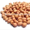 TOTAL PROTEIN PEANUTS