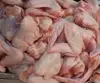 Frozen Chicken Wings Fresh