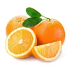 Top Quality Newly Harvested Fresh Sweet Juicy Seedless Orange with the best price