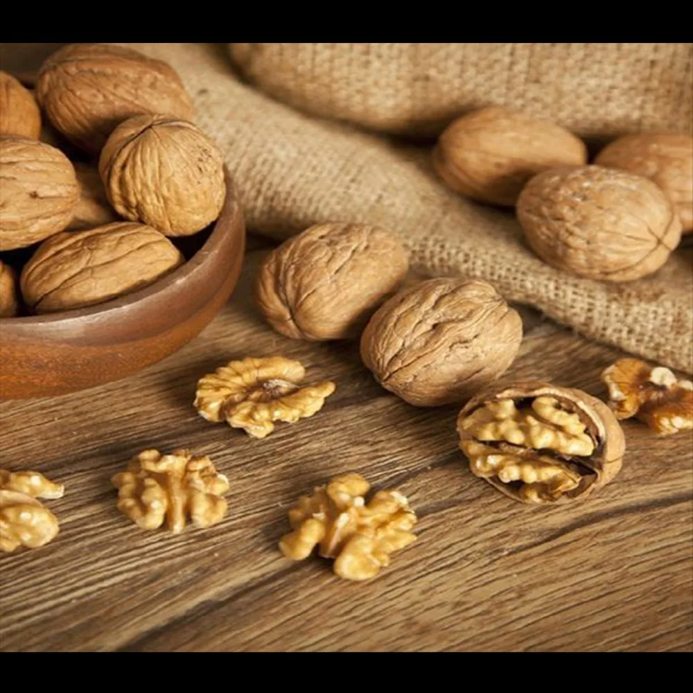 premium selected top quality walnuts and kernels