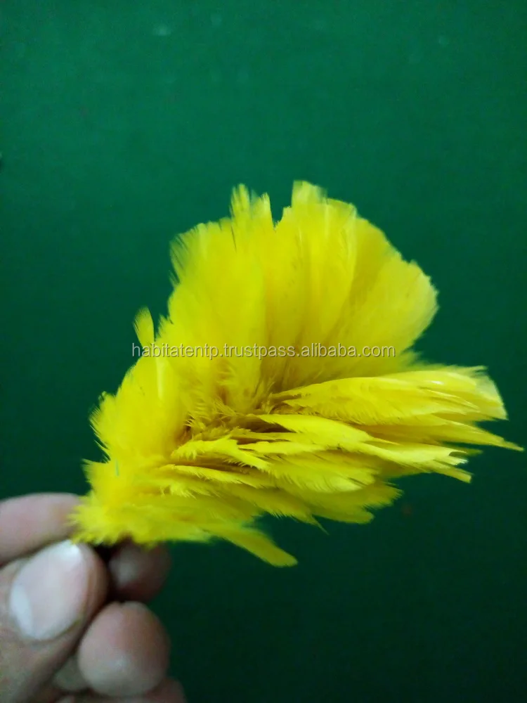 Feather Hackle 6 Plume For , Balmoral, Bonnet, Beret - Military