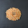 Yellow Maize Highest Quality