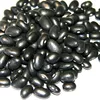 Black Kidney Beans For Sale wholesale price