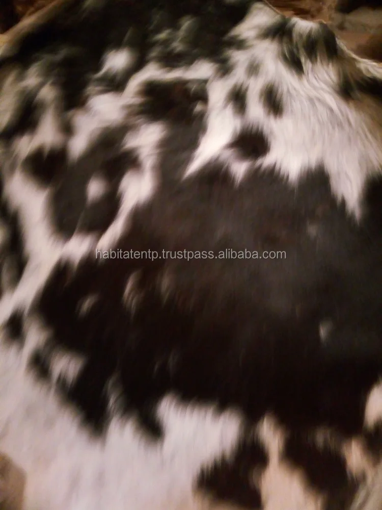 Wet Salted Cow Head Skin Total Fresh Drum Head Skins Buy Transparent