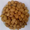 almonds nuts / Apricot Kernels/ Pine nuts