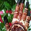 Current Year Quality For henna cone powders pakistan Body art BAQ Henna Powder