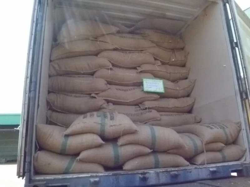 
VIETNAM ROBUSTA COFFEE BEANS SCR#18 