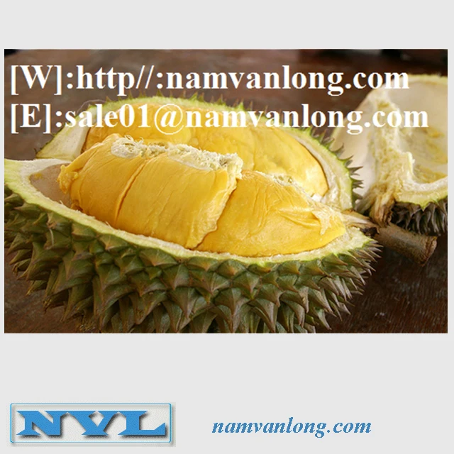 
TOP QUALITY MONTHONG DURIAN FRUIT WITH BEST PRICE AND HIGH QUALITY 